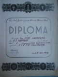 HOPCT DIPLOMA SPORTIVA NR 19 CONS. JUD.PTR. ED.FIZICA SI SPORT C-TA-TENIS 1972