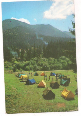 % carte postala (ilustrata)-TUSNAD-Camping foto
