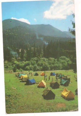 % carte postala (ilustrata)-TUSNAD-Camping foto
