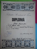 HOPCT DIPLOMA SPORTIVA NR 15 FEDERATIA ROMANA DE TENIS C.S. STEAUA BUC. 1975