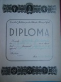 HOPCT DIPLOMA SPORTIVA NR 21 CONS. JUD.PTR. ED.FIZICA SI SPORT C-TA-TENIS 1973