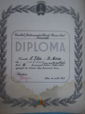 HOPCT DIPLOMA SPORTIVA NR 23 CONS. JUD.PTR. ED.FIZICA SI SPORT BUCUR-TENIS 1979