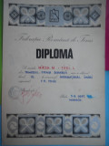 HOPCT DIPLOMA SPORTIVA NR 14 FEDERATIA ROMANA DE TENIS C.S. STEAUA BUC. 1974