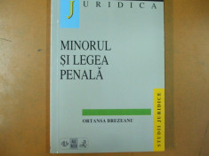 Minorul si legea penala O. Brezeanu Bucuresti 1998 foto