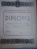 HOPCT DIPLOMA SPORTIVA NR 24 CONS. JUD.PTR. ED.FIZICA SI SPORT BUCUR-TENIS 1973