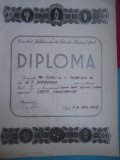 HOPCT DIPLOMA SPORTIVA NR 22 CONS. JUD.PTR. ED.FIZICA SI SPORT C-TA-TENIS 1972