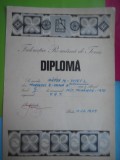 HOPCT DIPLOMA SPORTIVA NR 13 FEDERATIA ROMANA DE TENIS C.S. STEAUA BUC. 1975