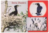 % carte postala (ilustrata)-DELTA DUNARII, Circulata, Fotografie