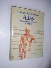 Atlas de anatomie umana ? ( limba spaniola ) - 1986 foto