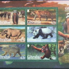 GIBRALTAR - FAUNA PROTEJATA 6 VALORI IN M/SH, NEOBLITERATA - GB 091