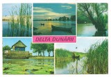 % carte postala (ilustrata)-DELTA DUNARII, Circulata, Fotografie