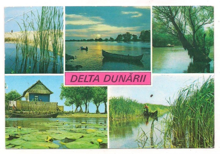 % carte postala (ilustrata)-DELTA DUNARII