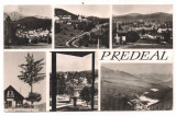 % carte postala (ilustrata)-PREDEAL