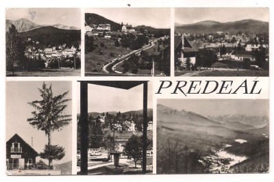 % carte postala (ilustrata)-PREDEAL foto