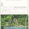 bnk cp Pentru radioamatori - Lot 50 CP QSL Romania necirculate