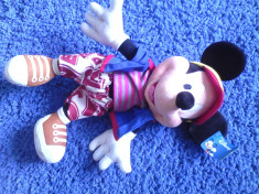 mikey mouse foto