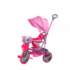 Tricicleta cu roti de metal 107A-2 Merry Ride Pink DHS foto