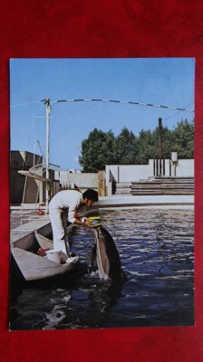 Vedere/ Carte postala - Constanta - Delfinariul foto