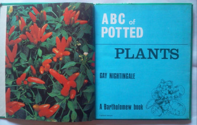 ABC OF POTTED PLANTS - GAY NIGHTINGALE (PB. ENGLEZA) foto