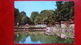 Vedere/ Carte postala - Baia Sprie - Poiana Suior