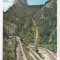 bnk cp Romania CP QSL 1989 - Cheile Bicazului