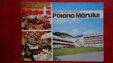Vedere/ Carte postala - Poiana Marului