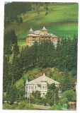 % carte postala (ilustrata)-VATRA DORNEI-vedere spre cabana Runc
