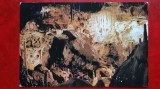 Vedere/ Carte postala - Pestera Ursilor