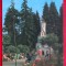 Vedere/ Carte postala - Vatra Dornei