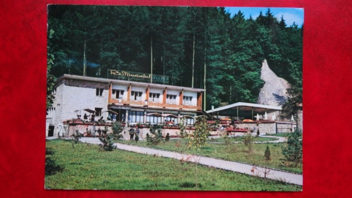 Vedere/ Carte postala - Risnov