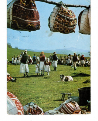 Carte Postala / vedere 1966 DEC, Sambra la oi satul Moiseni, circulata, traditii foto