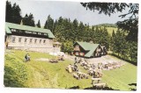 % carte postala (ilustrata)-BUSTENI-Cabana Poiana Izvoarelor