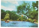 % carte postala (ilustrata)-BUZAU-Vedere din parcul Cring