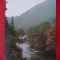 Vedere/ Carte postala - Tusnad - Valea Oltului