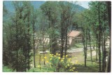 % carte postala (ilustrata)-BACAU-Hanul Poiana Uzului