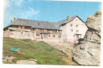 % carte postala (ilustrata)-BUSTENI-Cabana Babele foto