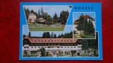 Vedere/ Carte postala - Borsec
