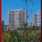 Vedere/ Carte postala - Craiova - constructii noi