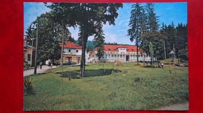 Vedere/ Carte postala - Borsec foto