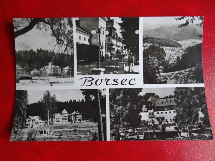 aug15 - Vedere/ Carte postala - Borsec