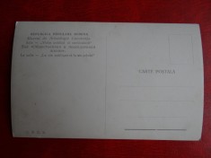 aug15 - Vedere/ Carte postala - Muzeul de arheologie Constanta