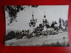aug15 - Vedere/ Carte postala - Sinaia - Peles Castelul