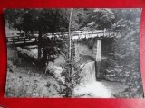 aug15 - Vedere/ Carte postala - Olanesti