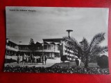 aug15 - Vedere/ Carte postala - Mangalia