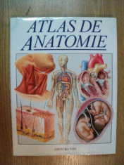 ATLAS DE ANATOMIE de TREVOR WESTON , 1997 foto