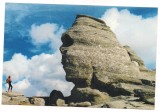 % carte postala (ilustrata)-SFINXUL-M-tii Bucegi