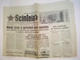 Ziar SCANTEIA - sambata 21 februarie 1981 Nr. 11975