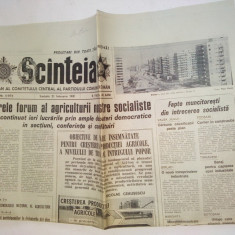 Ziar SCANTEIA - sambata 21 februarie 1981 Nr. 11975