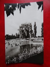 aug15 - Vedere/ Carte postala - Baile Felix