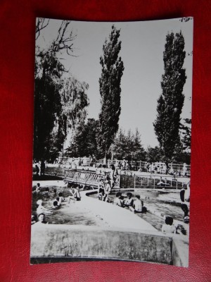 aug15 - Vedere/ Carte postala - Oradea foto